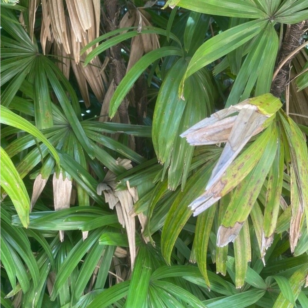 Meet your Posher, Dan